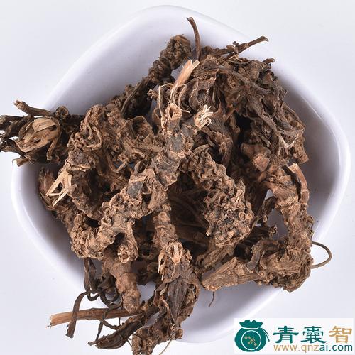 蜘蟟的性状性味归经以及功效用法-青囊智
