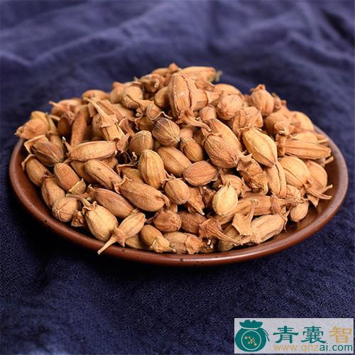 蜜筩柑的性状性味归经以及功效用法和注意事项-青囊智