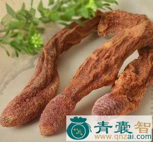 中药材蜡嘴图片