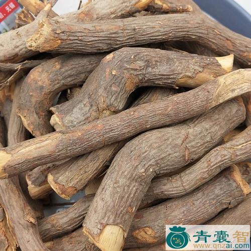 中药材蜡瓣花根图片