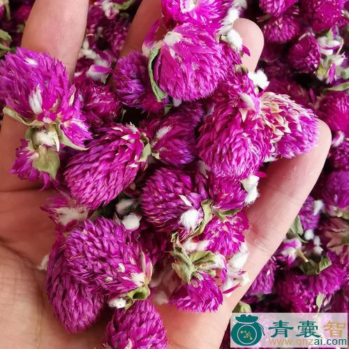 中药材蜻蜒红图片