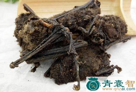 中药材蝙蝠图片