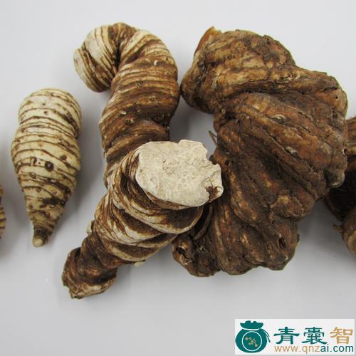 螫休的性状性味归经以及功效用法和注意事项-青囊智
