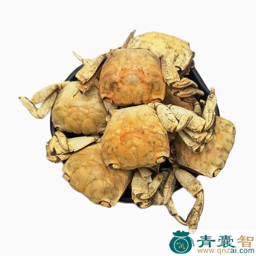 中药材蟹壳图片