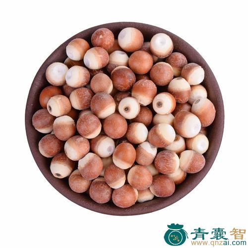 中药材蠡实图片
