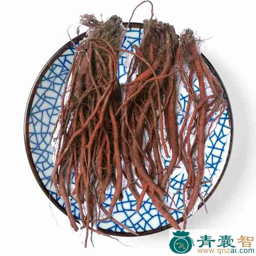 中药材血参根图片