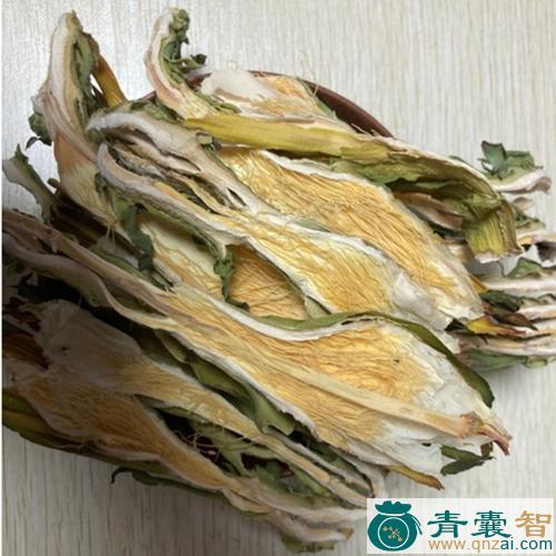 血竭花的性状性味归经以及功效用法和注意事项-青囊智