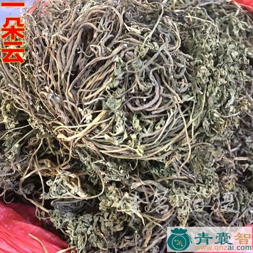 中药材补地云图片