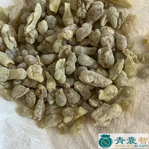 中药材裕香图片