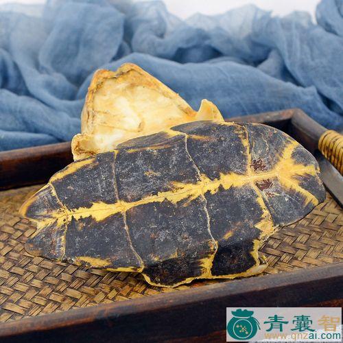 中药材裸龟巴图片