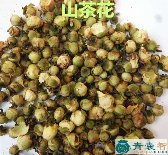 中药材西南山茶图片