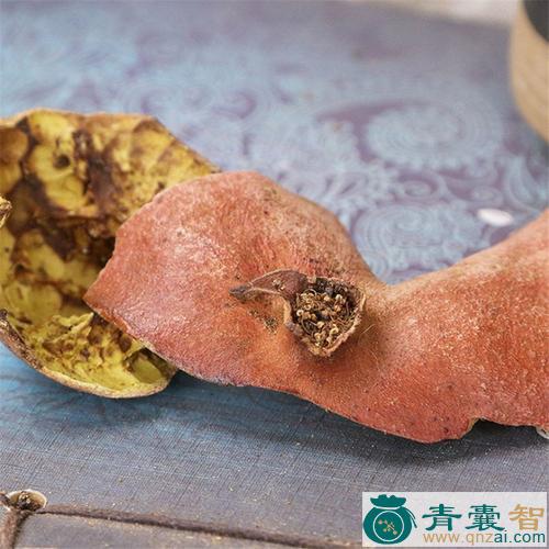 中药材西榴皮图片