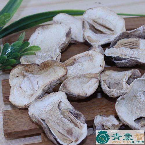中药材西洋草菇图片