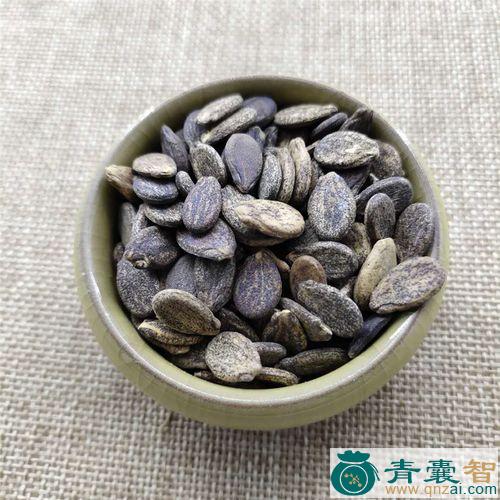 中药材西瓜子壳图片