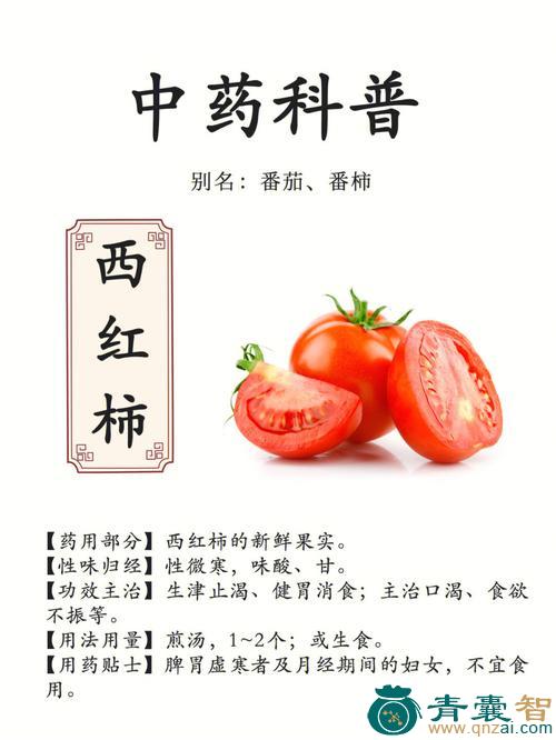 中药材西红柿图片