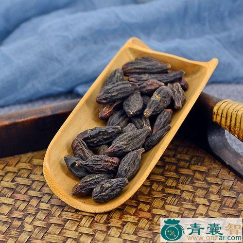 西青果的性状性味归经以及功效用法和注意事项-青囊智