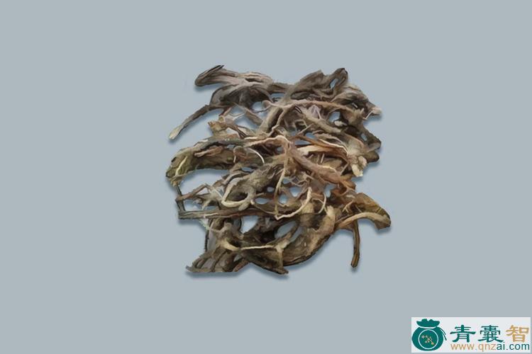 中药材见风黄图片
