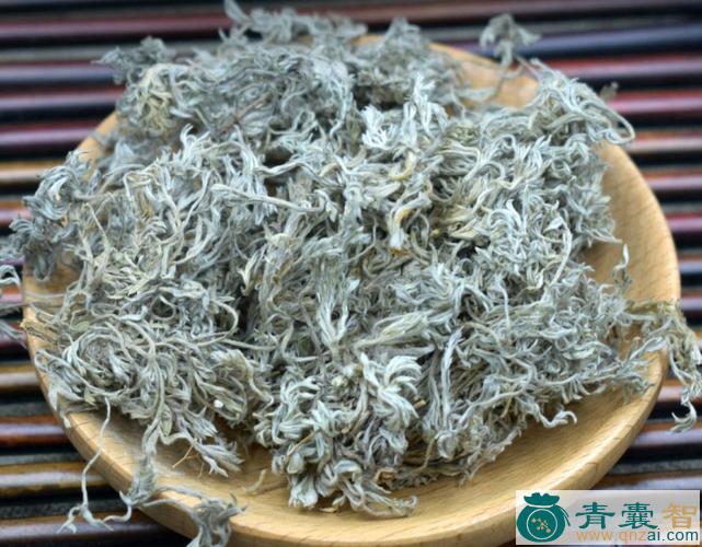 中药材角茵陈图片