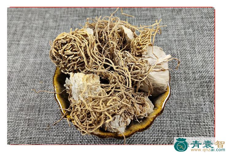 角葱的性味归经以及功效用法-青囊智