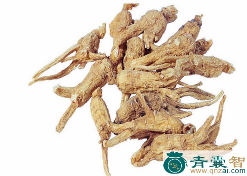 中药材解燕图片