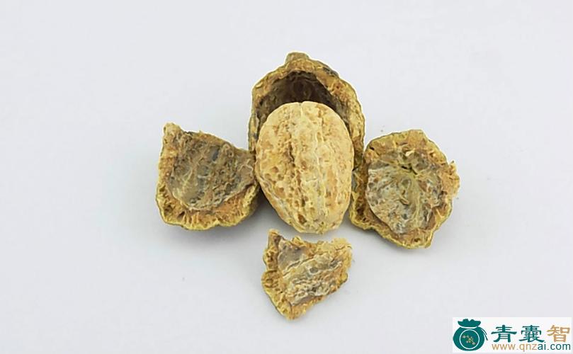 中药材诃子核图片