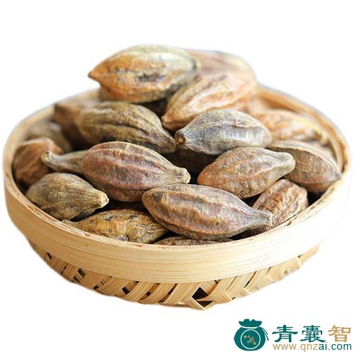 中药材诃黎勒图片