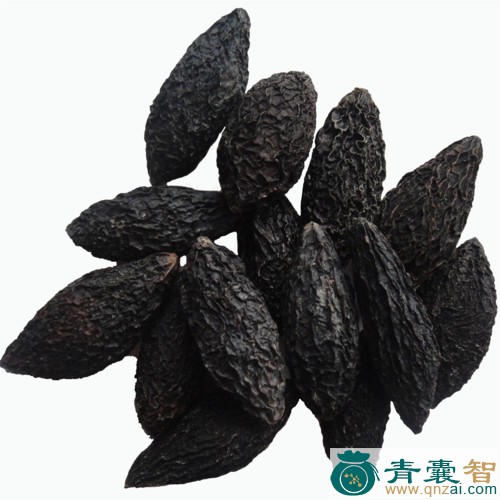 中药材谏果图片
