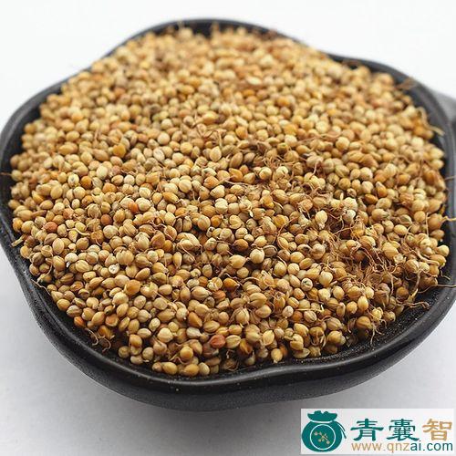 中药材谷菜图片