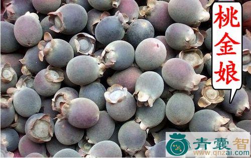 中药材豆棯干图片