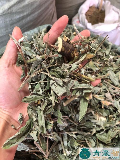 中药材豆瓣木图片