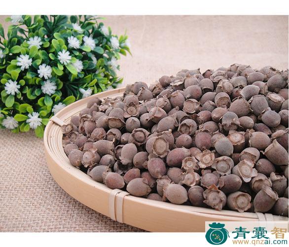 中药材豆稔干图片