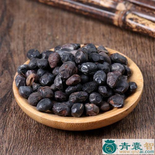 中药材豆豉杆图片