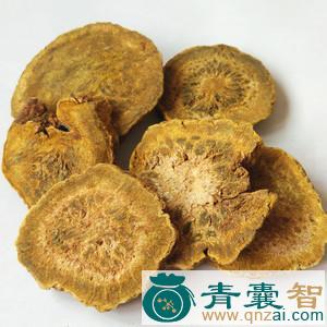 中药材豆马黄图片