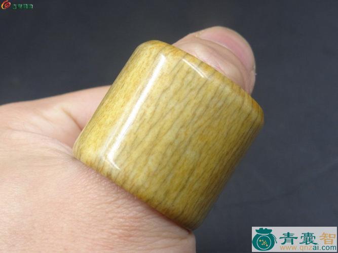 中药材象骨图片