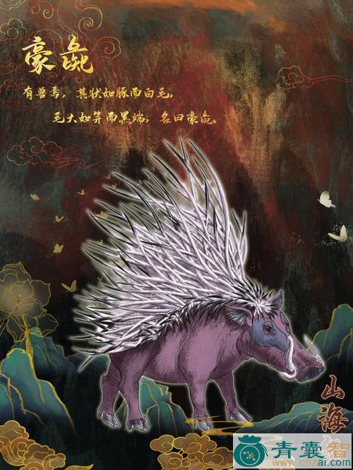 中药材豪彘图片