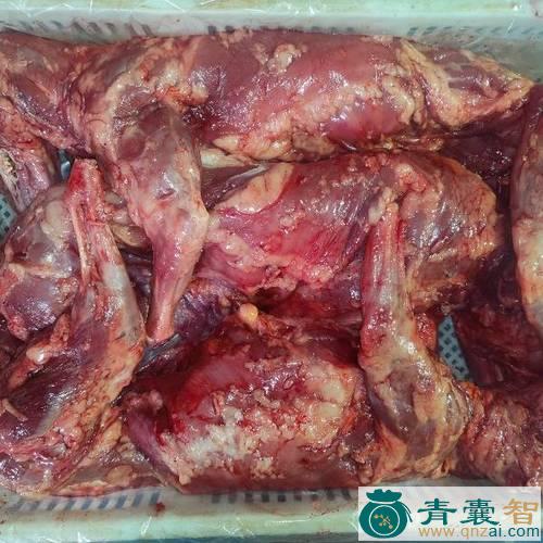中药材貉肉图片