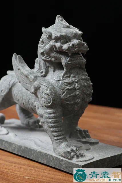 中药材貔狸图片