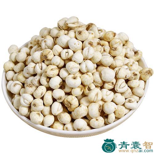 中药材贝母图片