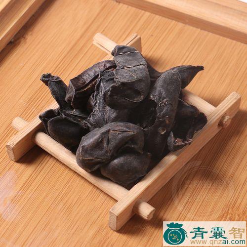 中药材负壳蛞蝓图片