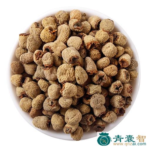 中药材负蟠图片