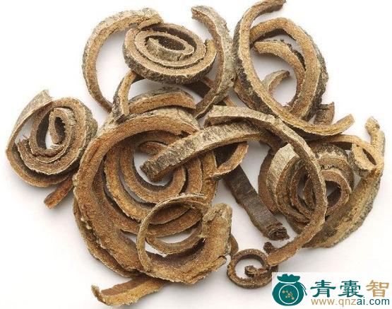 中药材贡山厚朴图片