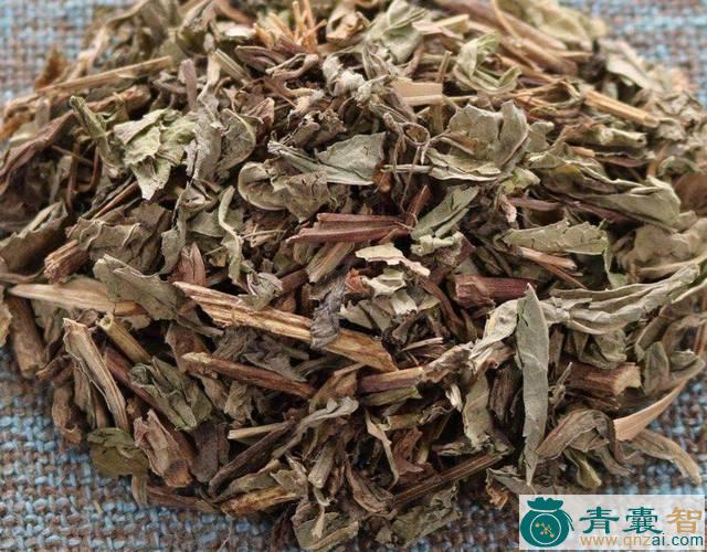 败酱的性状性味归经以及功效用法和注意事项-青囊智