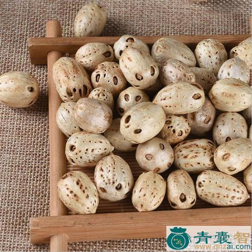 中药材货郎果图片
