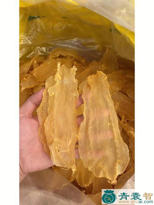 中药材赤嘴鸥图片