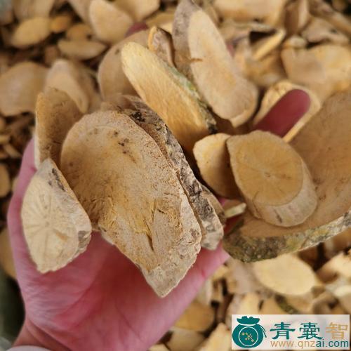 中药材赤泼藤图片