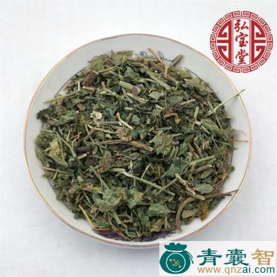 中药材赤眼老母草图片