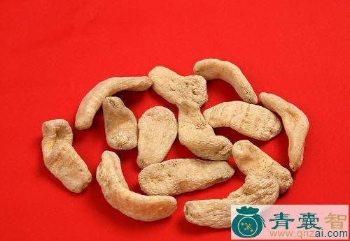 中药材赤麻图片