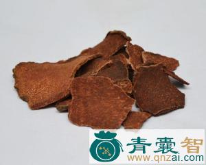 中药材赭魁图片