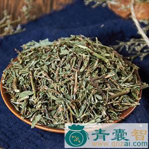 赶山艽的性状性味归经以及功效用法和注意事项-青囊智