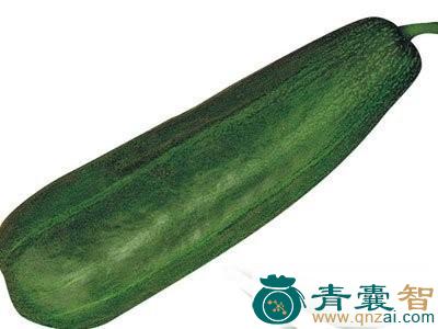 中药材越瓜图片